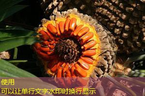 como bloquear o cassino na betano